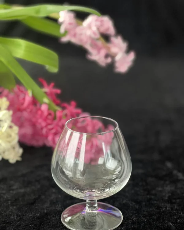 Brendžio taurė (250ml)