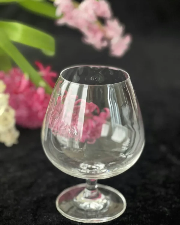 Konjako taurė (505ml)